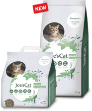 Joe's Cat