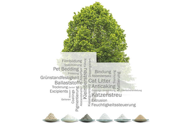 Sustainable Plant Fiber and Cellulose Technology