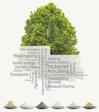 JRS plant fiber and cellulose technology