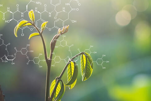 Innovative System and Technology Partner