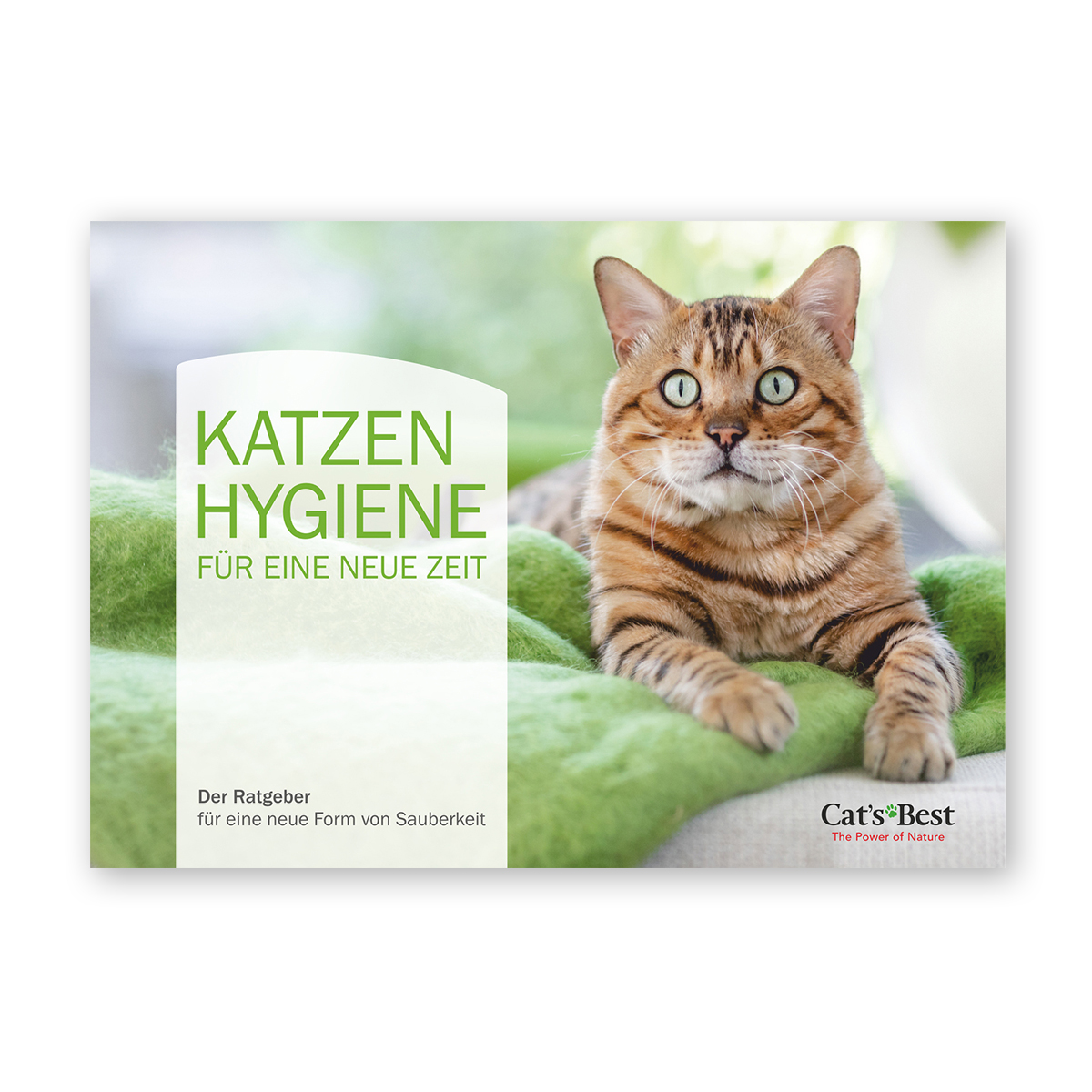 Cat Hygiene for a New Age