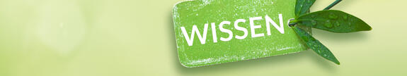Wissen